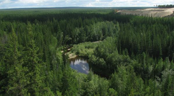 un copil de 3 ani a supravie uit trei zile in taigaua siberiana