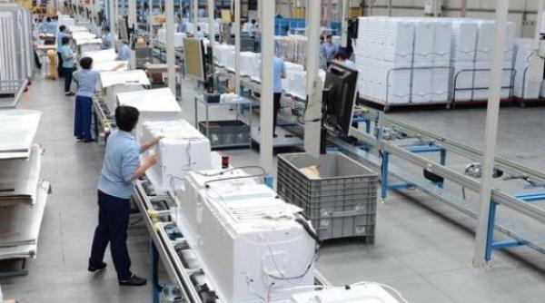 arctic are un nou director general