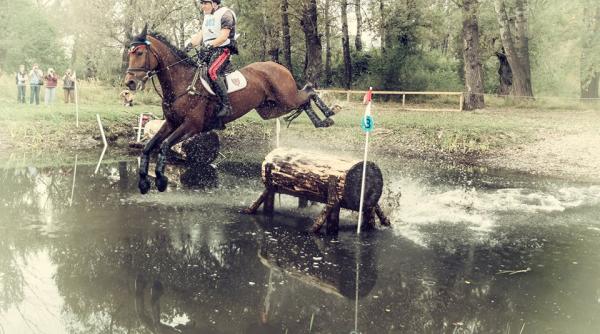 karpatia horse show 2016 i a desemnat ca tigatorii cum arata podiumul