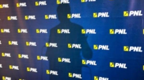 sute de mii de euro pentru pnl am dus personal banii