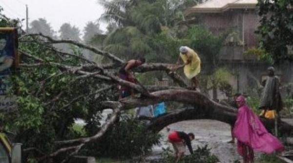 un taifun a lovit japonia sute de oameni evacua i