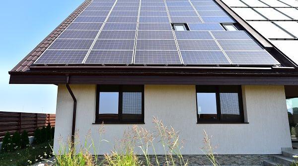 casa verde 2016 sute de oameni stau de trei zile la coada