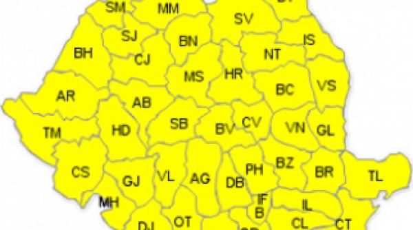 cod galben de ninsori iarna se apropie