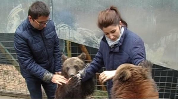 jurnali ti antena 3 in cu ca ur ilor cum au reac ionat puii