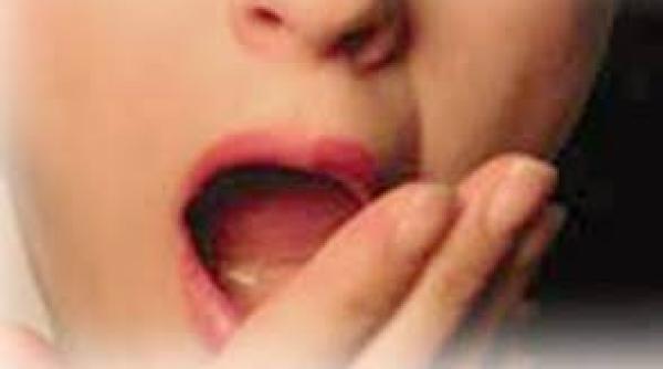 legatura intre durata cascatului i marimea i complexitatea creierului