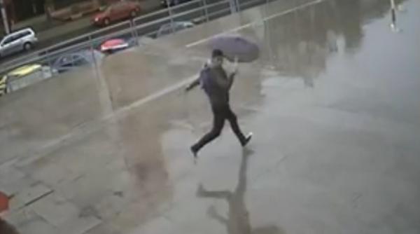 noi imagini cu ursul impu cat in sibiu inregistrari oc