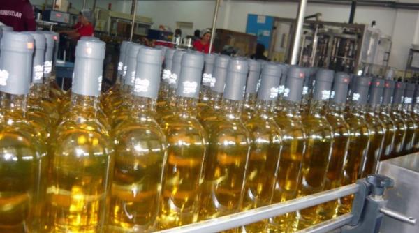 george ivanescu  actionar la murfatlar  arestat preventiv