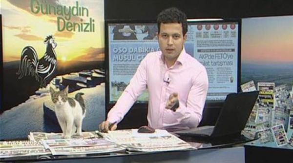 apari ie neobi nuita in cadru in timpul unei emisiuni tv