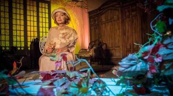 proiectia speciala livada de visini