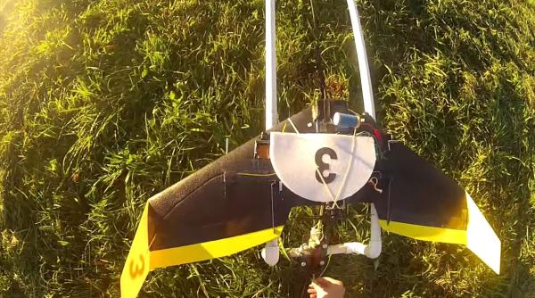 tulcea comoara arheologica descoperita cu drona