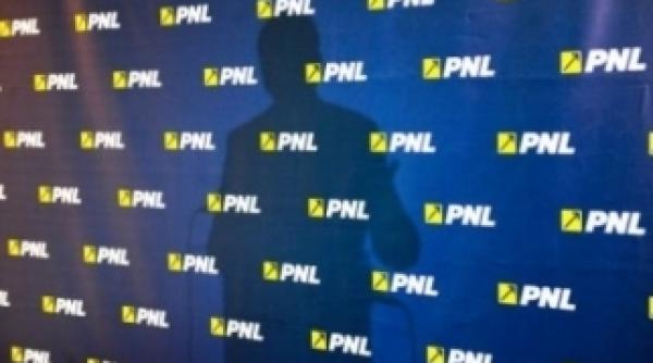 alegeri parlamentare 2016 marinica dinca senator pnl a renun at la candidatura