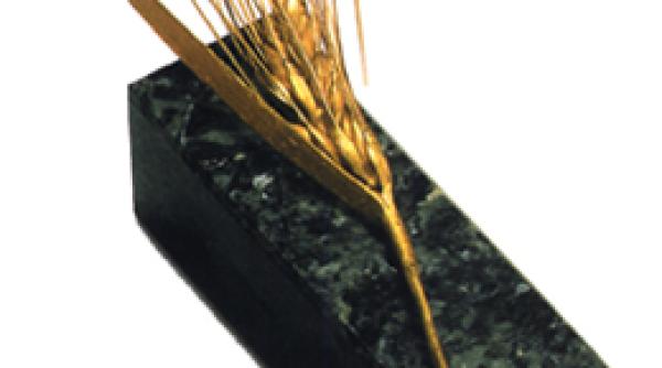 festivalul interna ional al filmului de la valladolid vanatori i culegatori