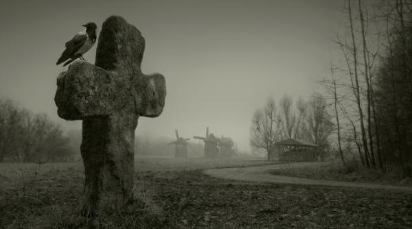 guvernul obliga to i mor ii sa poarte bra ara la mana care e scopul ei