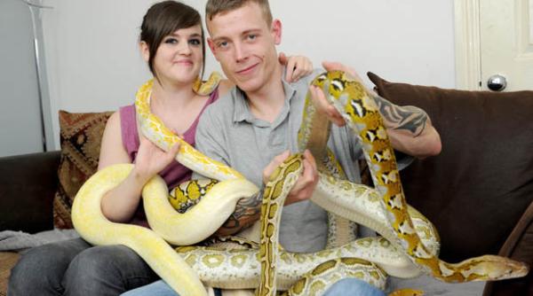 un cuplu traie te in casa cu 53 de erpi