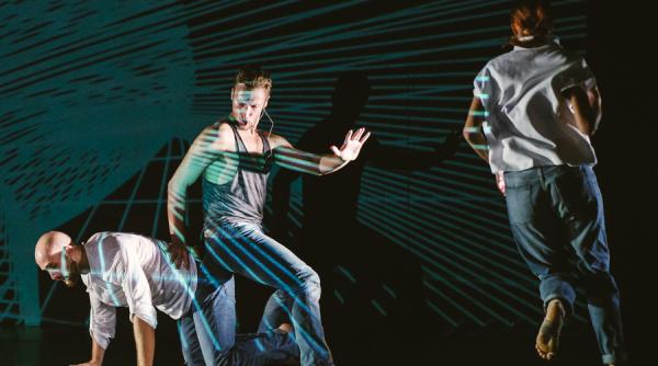 noaptea lunga a artelor performative la linz