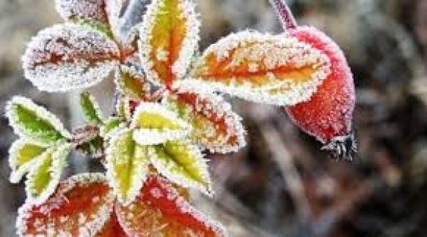 prognoza meteo vremea se raceste si apar precipitatiile