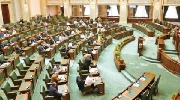 chelaru detalii privind programul senatului in timpul campaniei electorale