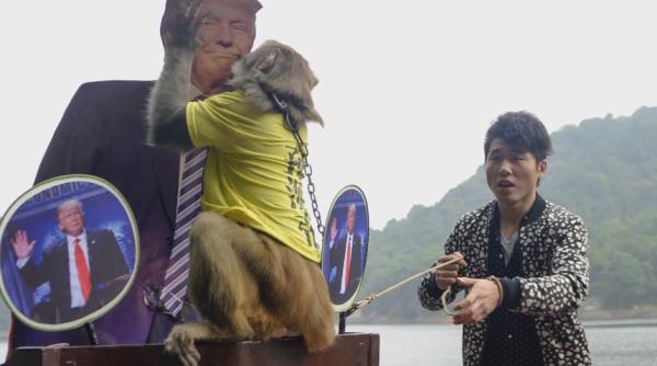 alegeri sua 2016 trump vs clinton predic ia animalelor din jurul lumii video