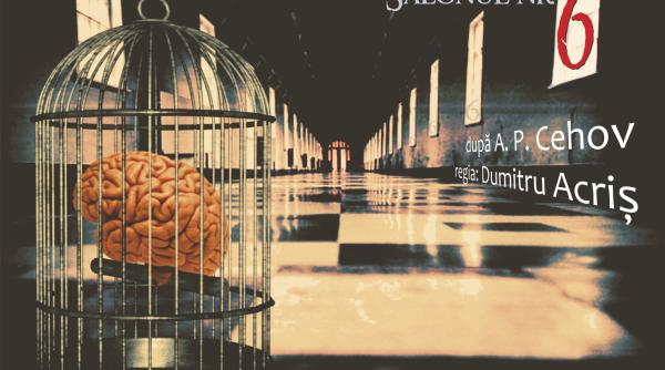 salonul nr 6 in premiera la teatrul tony bulandra