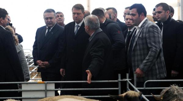 klaus iohannis alegerile se ca tiga emo ionand alegatorul