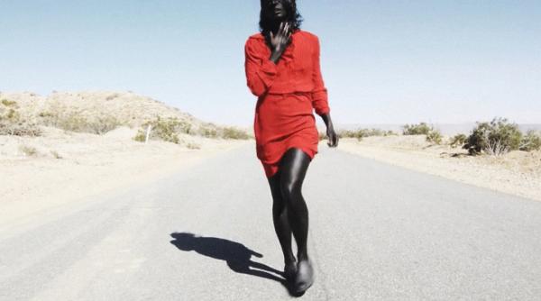 bidff 2016 bucharest international dance film festival i a desemnat ca tigatorii