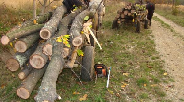 guvern masuri pentru paza padurilor ce trebuie sa tie proprietarii