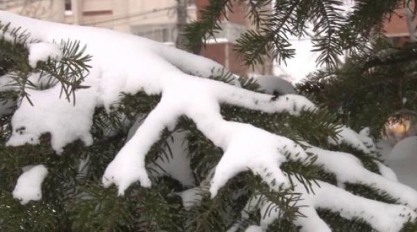 meteo cand incep ninsorile prognoza pentru zilele urmatoare