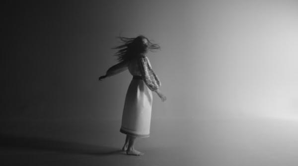 publicitarii lui basescu ingroapa pnl