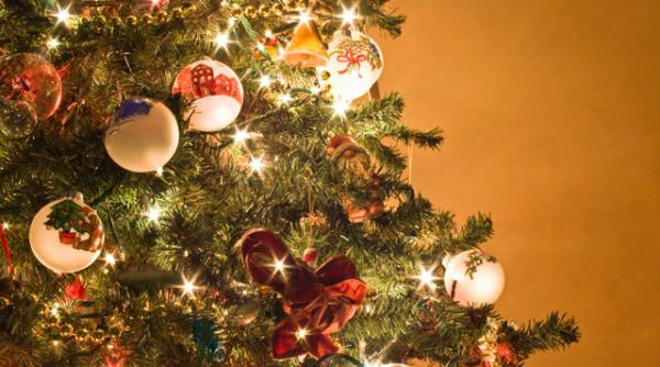 unde va fi impodobit cel mai mare brad din tara