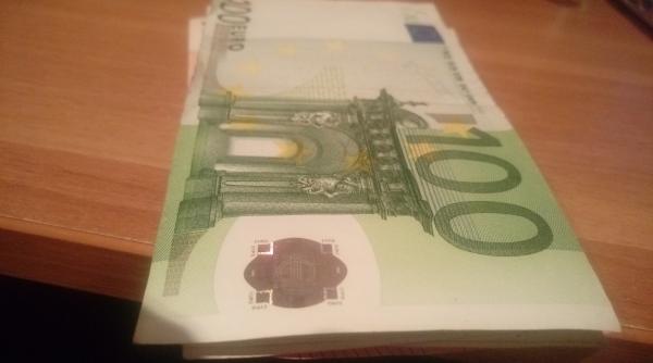 in elatorie cu pisici fenomen ingrijorator