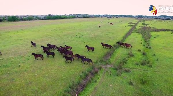 premiere agerpres la onu primul facebook messenger newsbot din romania i documentarul video taramul dintre ape