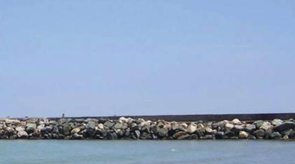 revista britanica poem consacra un numar special liricii romanesti