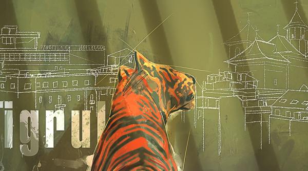 tigrul din ora ul nostru premiera la inceputul lunii decembrie