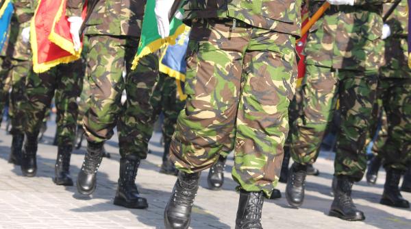 eful corpului de control al lui ciolo ii vrea pe procurori pe sub arcul de triumf