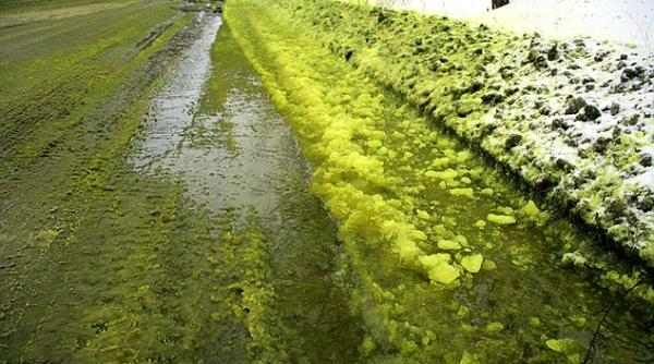 o regiune din rusia acoperita de zapada verde