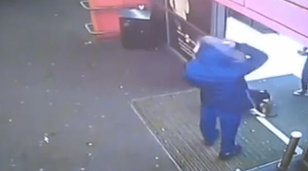 imagini oc cu un pitbull i o pisica senator criminal in libertate aresta i l