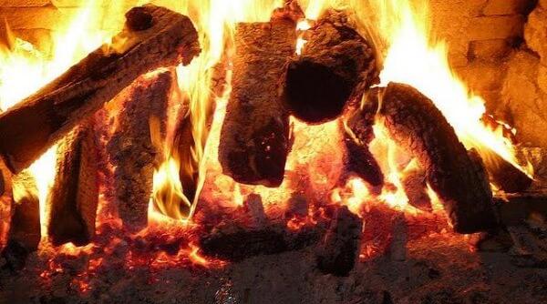 lemnul cu cea mai mare putere calorica cum se alege