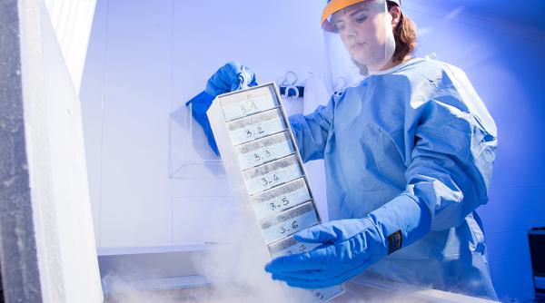 alian e globale pentru terapia unor boli grave grupul francez servier decizii strategice