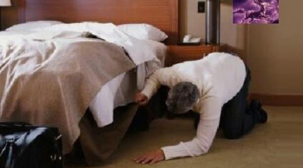 bancul zilei cand se atinge maturitatea in rela ii