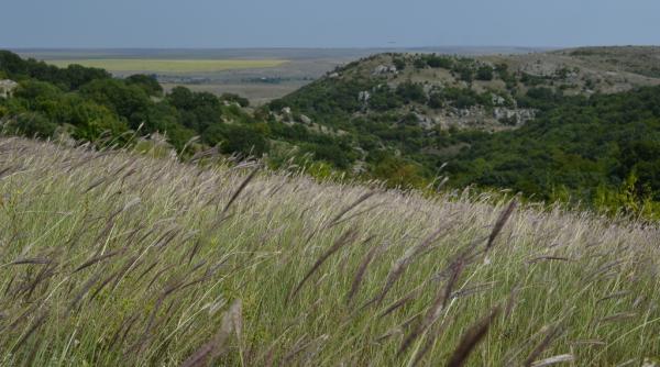badragan pru dobrogea un el dorado pentru investitori