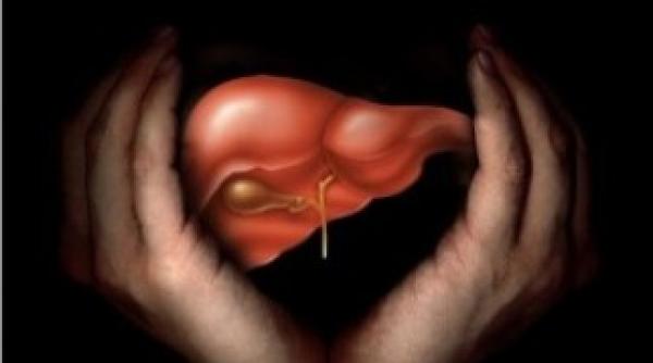 corpul de control al premierului la sf maria servicii nedecontate de peste 2 milioane de lei