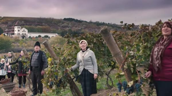 we are the champions in varianta inedita taranii din purcari vedete interna ionale