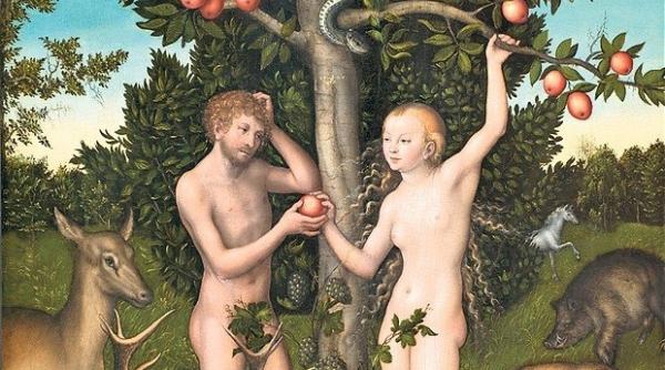 bancul zilei bula la testul de abilitate