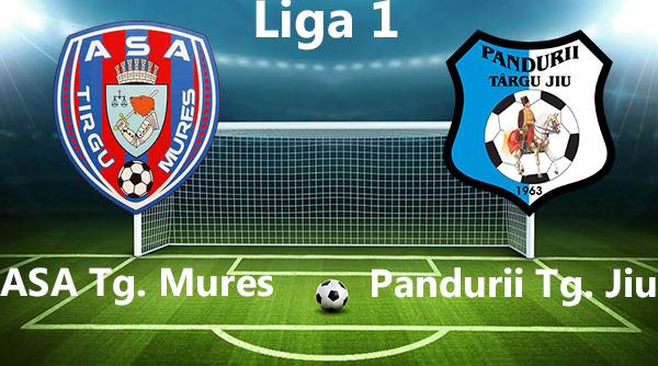 partida asa pandurii incheiata la pauza gorjenii au refuzat sa mai iasa pe teren