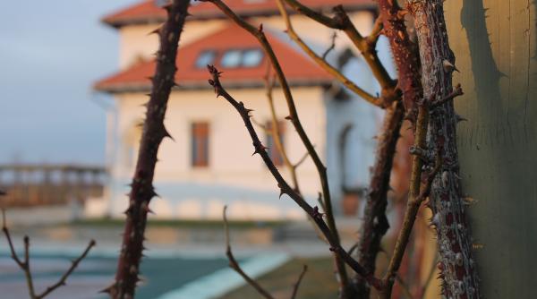 crama avincis a lui valeriu stoica luxul din viile municipiului draga ani