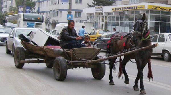 bancul zilei inva aturile unui ardelean catre fiul sau