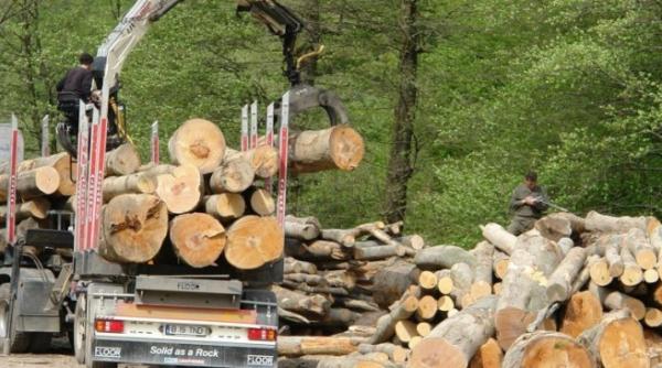 romsilva masuri dure inainte de craciun