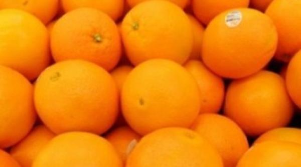 crema rapida de portocale gustos i la indemana oricui