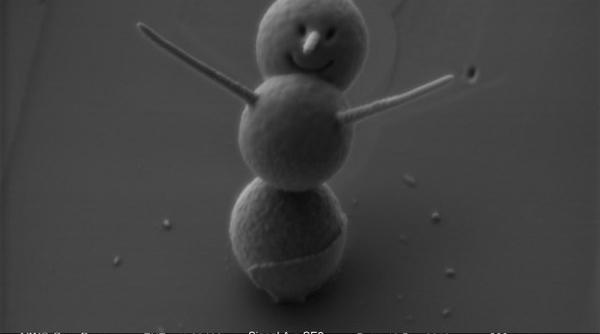 cel mai mic om de zapada poate fi vazut doar la microscop