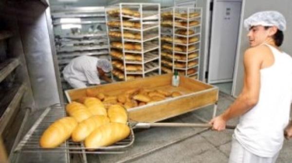 industria autohtona de panifica ie deficit de for a de munca